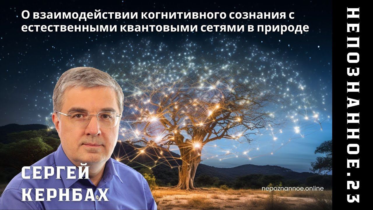 Квантовое бессмертие: как искусственный интеллект и&nbsp;запутанность меняют наши представления о&nbsp;жизни и&nbsp;смерти