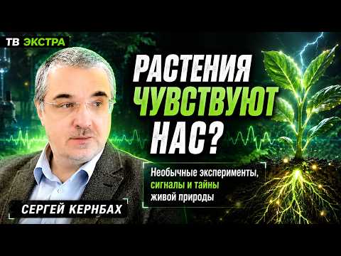 Растения как детекторы дистантных явлений: квантово-биологические взаимодействия, которые наука пока не может объяснить