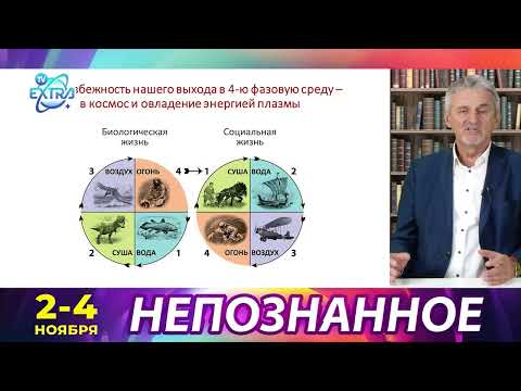 Три горизонта будущего: почему человечество — это ещё не родившийся цыплёнок