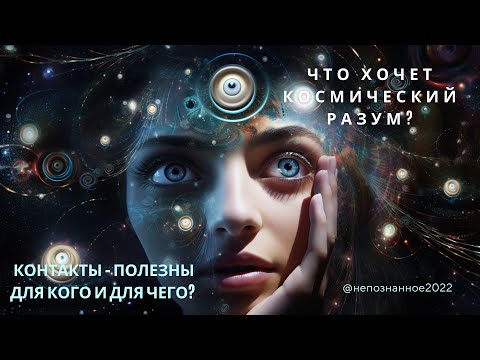 Космический разум и&nbsp;человек: подопытные, партнеры или просто соседи по галактике?