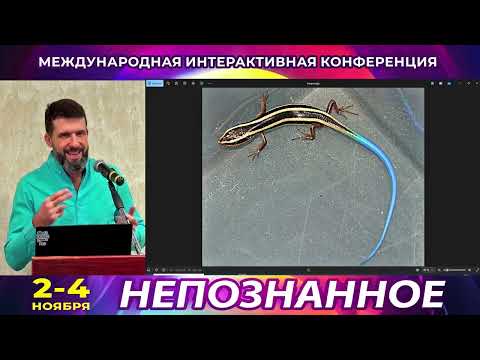 Внутренняя алхимия: как научиться управлять своим организмом через сознание