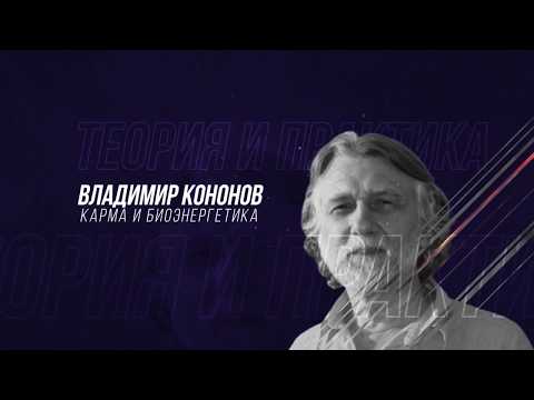 Карма как закон физики души: 30 лет наблюдений за невидимыми блоками